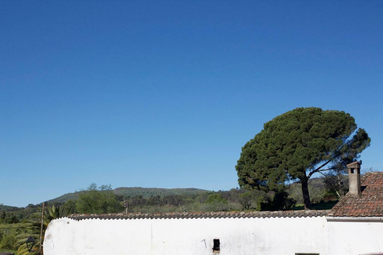 Perales del Puerto La Grulla Gris旅馆 外观 照片