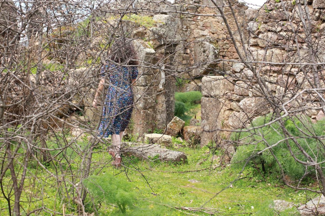 Perales del Puerto La Grulla Gris旅馆 外观 照片